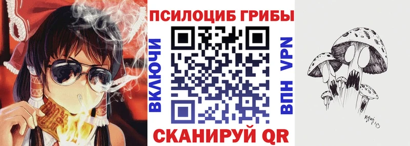 Псилоцибиновые грибы Psilocybine cubensis  Купить  Сухиничи 